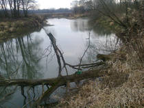 foto/forum/2014/th-img104376.jpg