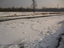 foto/forum/2014/th-img104544.jpg
