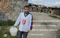 foto/forum/2014/th-img104695.jpg