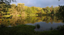 foto/forum/2014/th-img105473.jpg