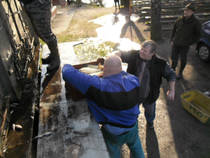 foto/forum/2014/th-img105632.jpg