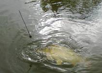foto/forum/2014/th-img106304.jpg