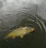 foto/forum/2014/th-img106305.jpg