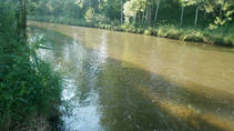foto/forum/2014/th-img106384.jpg