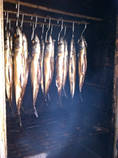 foto/forum/2014/th-img106562.jpg