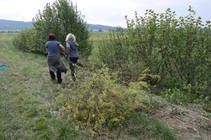 foto/forum/2014/th-img106613.jpg