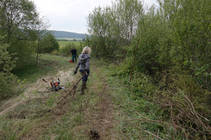 foto/forum/2014/th-img106614.jpg