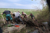 foto/forum/2014/th-img106615.jpg