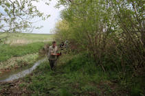 foto/forum/2014/th-img106616.jpg