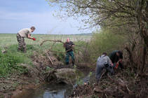 foto/forum/2014/th-img106619.jpg