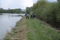 foto/forum/2014/th-img106621.jpg