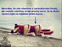 foto/forum/2014/th-img106798.jpg