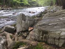 foto/forum/2014/th-img106814.jpg