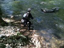 foto/forum/2014/th-img106872.jpg