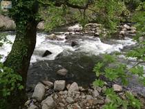 foto/forum/2014/th-img106876.jpg