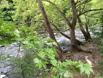 foto/forum/2014/th-img106877.jpg