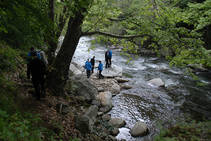 foto/forum/2014/th-img106948.jpg