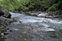 foto/forum/2014/th-img106949.jpg