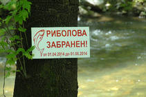 foto/forum/2014/th-img106986.jpg