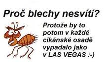 foto/forum/2014/th-img107066.jpg