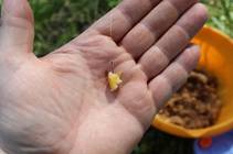 foto/forum/2014/th-img107333.jpg