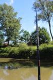 foto/forum/2014/th-img107337.jpg