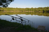 foto/forum/2014/th-img107401.jpg