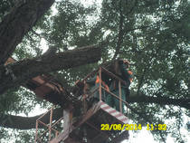 foto/forum/2014/th-img107771.jpg