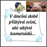 foto/forum/2014/th-img108000.jpg