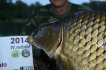 foto/forum/2014/th-img108097.jpg