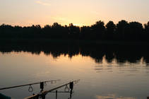 foto/forum/2014/th-img108103.jpg