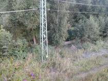 foto/forum/2014/th-img108697.jpg