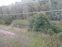 foto/forum/2014/th-img108700.jpg