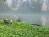 foto/forum/2014/th-img109097.jpg