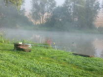 foto/forum/2014/th-img109098.jpg