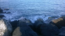 foto/forum/2014/th-img109121.jpg
