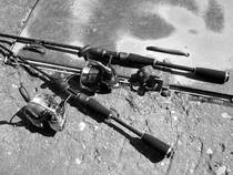 foto/forum/2014/th-img109208.jpg