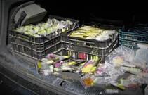 foto/forum/2014/th-img109215.jpg
