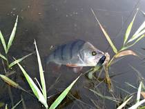 foto/forum/2014/th-img109426.jpg