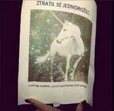 foto/forum/2014/th-img109624.jpg