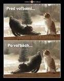 foto/forum/2014/th-img109895.jpg