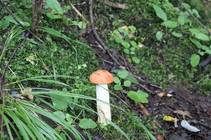 foto/forum/2014/th-img109917.jpg
