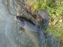 foto/forum/2014/th-img109974.jpg