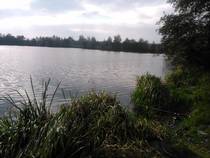 foto/forum/2014/th-img110191.jpg