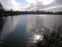 foto/forum/2014/th-img110192.jpg