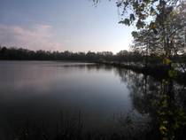 foto/forum/2014/th-img110193.jpg