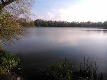 foto/forum/2014/th-img110194.jpg