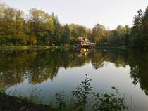 foto/forum/2014/th-img110207.jpg