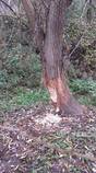 foto/forum/2014/th-img110500.jpg