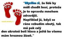 foto/forum/2014/th-img110551.jpg